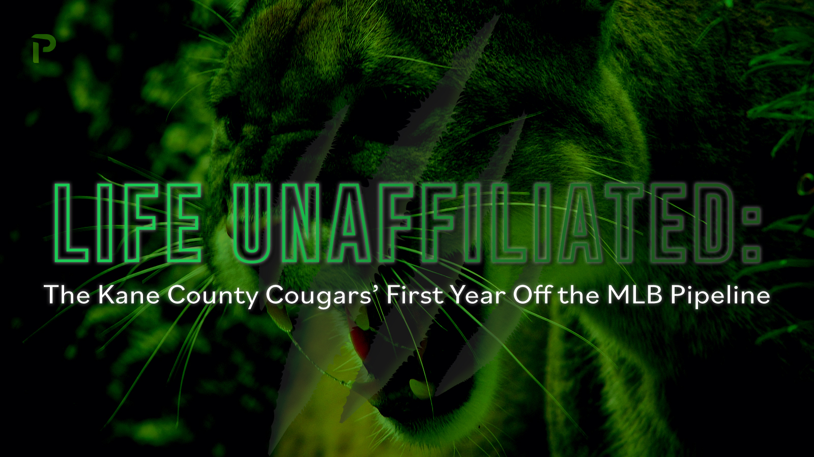 Kane County Cougars Schedule 2022 Life Unaffiliated: The Kane County Cougars' First Year Off The Mlb Pipeline  - Pitcher List